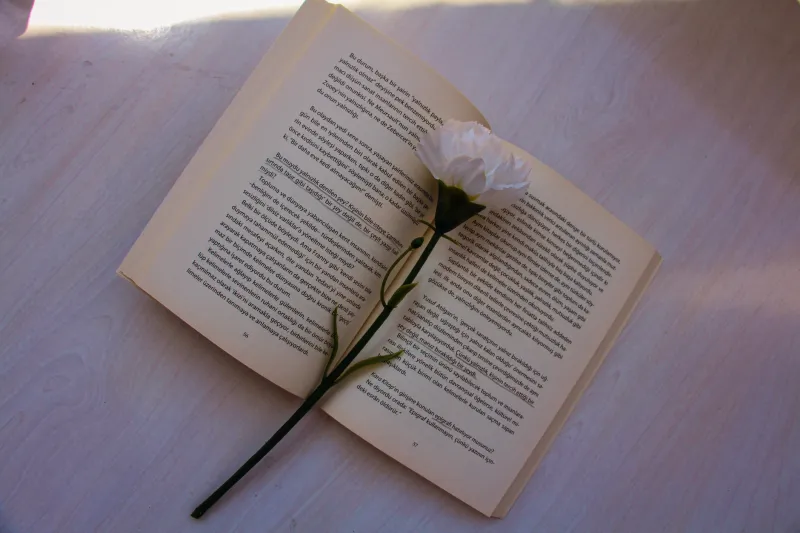 What Ritha Knows That Elegy Cannot Say: The Untranslatable Emotional Universe of Arabic Grief Poetry